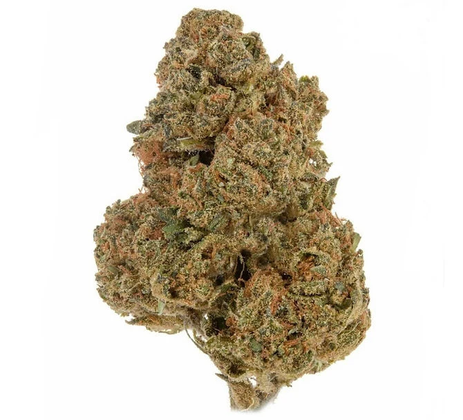 Royal OG CBD hemp flower, a single dense resin coated bud on white