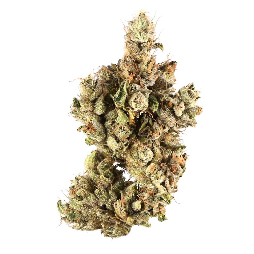 Pre '98 Bubba Kush hemp flower with frosty trichomes and orange pistils